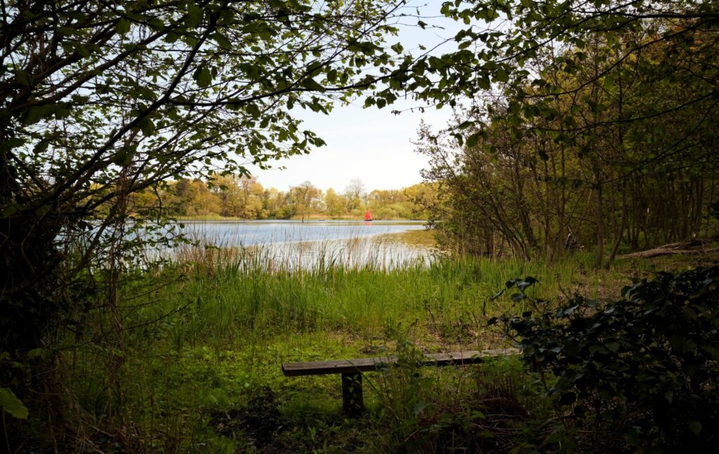 South Walsham, view of Little South Walsham Broad