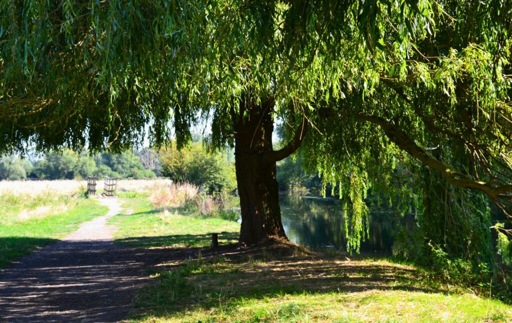 Path from Cambridge to Grantchester