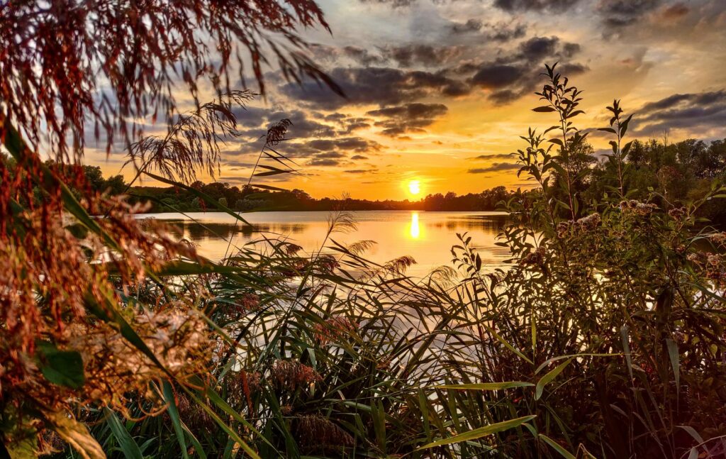 Norfolk Broads
