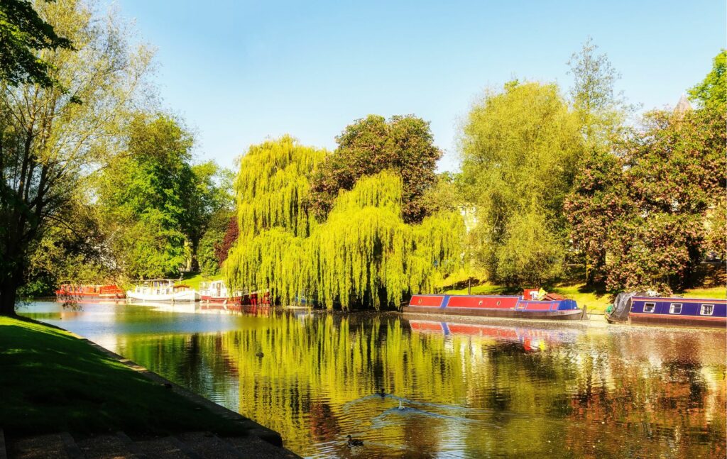 Open Spaces in Cambridge