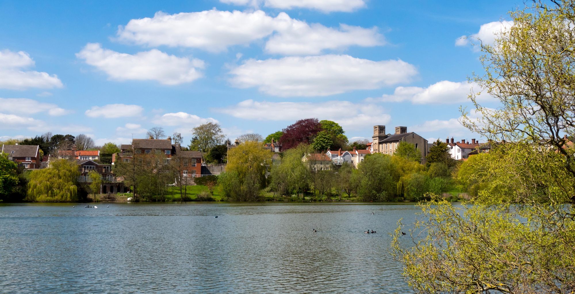 Living in Diss: A buyer’s guide to Norfolk’s border market town